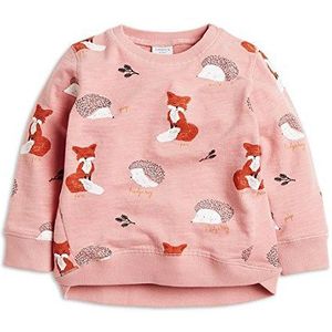 Little Hand Sweatshirt voor meisjes, trainingspak voor meisjes, vos
