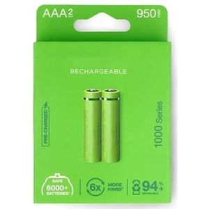 2 stuks oplaadbare AAA-batterijen van 1000 mAh, in de fabriek voorgeladen