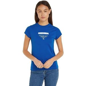 Calvin Klein Jeans Modern recht T-shirt met gestreept logo T-shirts S/S dames, Blauwe waterkoker
