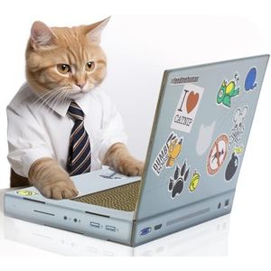 SUCK UK Krablaptop van karton voor katten | kattenspeelgoed | laptop | computer | krabpaal | krabplank | kattenkruid | krabmeubel | krabmat | krabspeelgoed | kat | katten | krabkarton