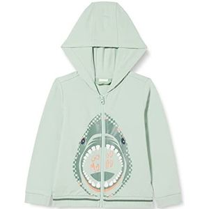 s.Oliver Junior Boy's 2130694 Sweat à capuche Turquoise 6091 116/122, Turquoise 6091, 116-122