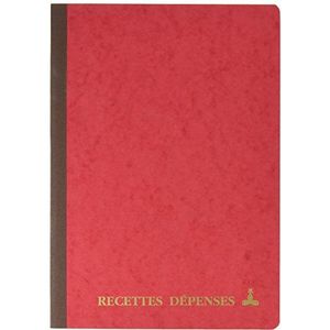 Le Delphin 3931D – 1 steek – afmetingen 29,7 x 21 cm – formaat A4 – inkomsten – uitgaven – 80 pagina's – softcover van glanzend karton in willekeurige kleuren: geel, groen, rood, groen