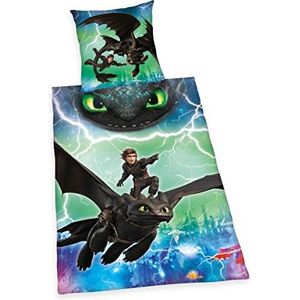 Glow In The Dark Dragon Dekbedovertrek DREAMWORKS DRAGONS