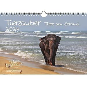 Calendrier 2024 Tierzauber Beach - Format A4 - Différents animaux sur la plage Seelenzauber