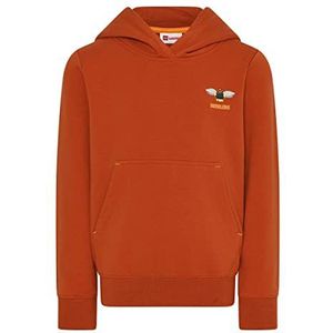 Lego Wear Unisex sweatshirt met capuchon, 198, 92, 198