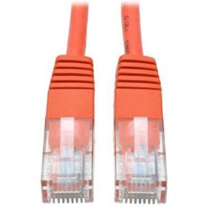 Tripp Lite N002-014-OR netwerkkabel 4,27 m Cat5e U/UTP (UTP) oranje - netwerkkabel (4,27 m, Cat5e, U/UTP (UTP), RJ-45, RJ-45, oranje)
