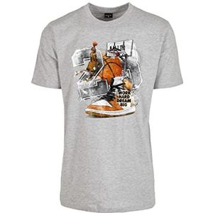 Mister Tee Ballin Vintage T-shirt voor heren, grijs.