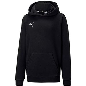 Puma Teamgoal 23 Casuals Hoody Jr Pullover voor jongens, rood, 152