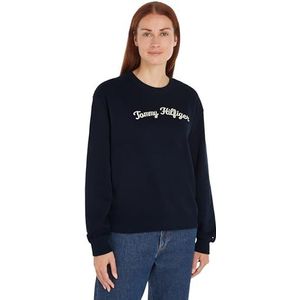 Tommy Hilfiger Mdrn Reg Script Sweatshirt met capuchon voor dames, Desert Sky