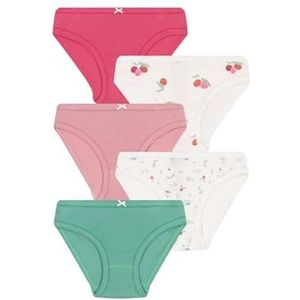 Petit Bateau A0d2h slipjes voor meisjes (5 stuks), Variant 1., 140