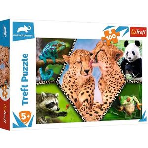 Trefl Trefl 100 - Beautiful nature / Discovery Animal Planet