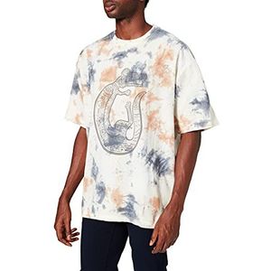 Desigual Ts_Alexander T-shirt voor heren, Wit