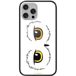 ERT GROUP Coque de protection pour Apple iPhone 13 Pro avec licence officielle Harry Potter Motif Harry Potter 028 en verre trempé