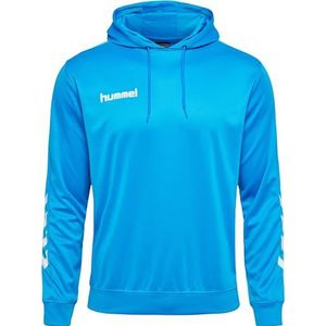 hummel hmlpromo heren hoodie