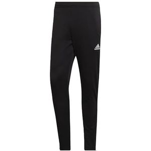 adidas Trainingsbroek voor heren, entree 22, zwart, maat XL