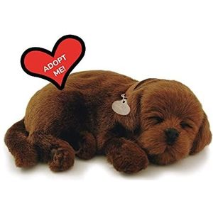 Perfect Petzzz - 4911 – pluche – hond labrador chocolade