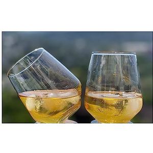 Topkapi McDalford Set van 2 transparante whiskyglazen met gyroscopisch effect voor whisky, cocktails, sap, water, dranken, H ~ 10,6 cm ~ 420 ml