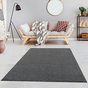 Fashion4Home - Effen laagpolig tapijt voor woonkamer, kinderkamer, slaapkamer, kantoor, hal en keuken - Grijs - Afmetingen: 120 x 170 cm