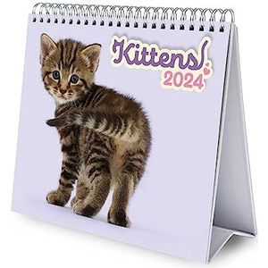 Grupo Erik - Bureaukalender 2024 katten | 20 x 18 cm, maandkalender in het Frans | met harde standaard, officieel gelicentieerd product, FSC-gecertificeerd