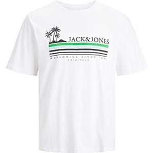 JACK & JONES PLUS Jorcody Summer Tee S Crew Neck Pls T-shirt heren, Stralend wit.