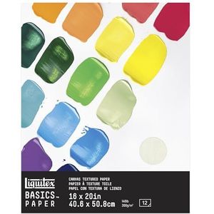 Liquitex Basics Papierblok met linnen afwerking, 300 g, 40,5 x 50,8 cm, 12 vellen