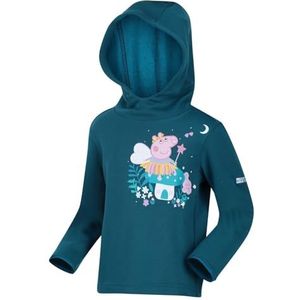 peppa graph hoody