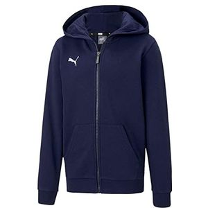 PUMA Teamgoal 23 Casuals Jr Pullover Uniseks Jas met capuchon