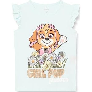 Name It Nmfmelisa Pawpatrol Ss Top Cplg T-shirt voor meisjes, Salt Air
