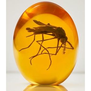 VEOJEIN 3D Jurassic Mug - Amber Muggen - Realistische Jurassic Collectie - Flat Bodem Hars Presse-Papier - Dinosaurus DNA