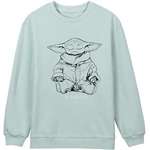 Cerdá Sweatshirt voor kinderen, uniseks