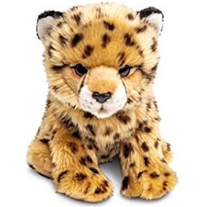 Uni-Toys - Jongen cheetah zittend – 22 cm (hoogte) – wild pluche dier – knuffeldier