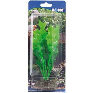 Hobby Echinodrus Kunstmatige aquariumplant, 20 cm