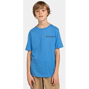 Quiksilver Blazin Chest SS Youth Shirt voor kinderen en jongeren (1)