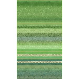 Bassetti Monreale Sjaal van 100% katoen in de kleur groen V1, afmetingen: 350 x 270 cm -9322053