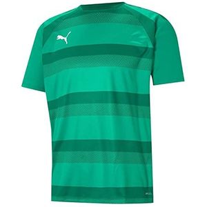 PUMA Teamvision T-shirt voor volwassenen, uniseks