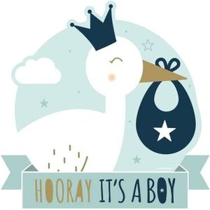 Decoration Sign - Newborn Baby Boy, 12 stuks