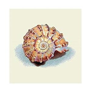 Duffi Home Kussensloop, 45 x 45 cm, groen