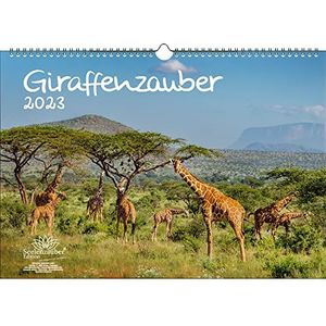 Girafenzauber kalender DIN A3 voor giraffen 2023 - zielenzauber