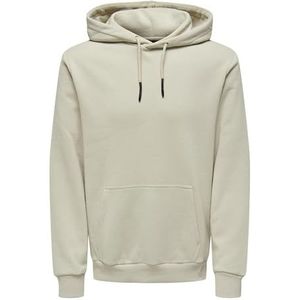 ONLY & SONS Hoodie ONSCERES Grijs