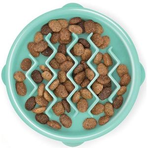 Outward Hound Fun Feeder Slo-Bowl - stootvast voor honden, klein/zeer klein, mintgroen
