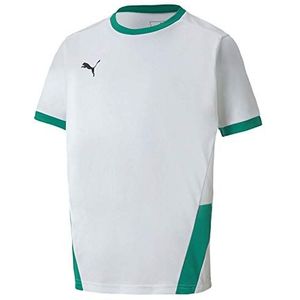 PUMA Teamgoal 23 Jersey Jr T-shirt voor kinderen, uniseks, Puma Witte peper groen