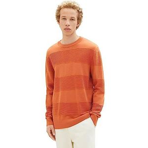 TOM TAILOR Denim Pull en tricot pour homme avec structure en coton, 32247-soft Autumn Rust, S