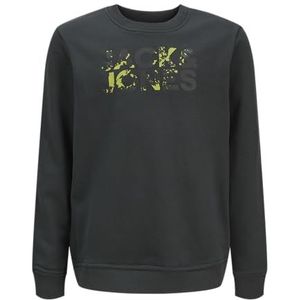 Jack & Jones Jjstyd Corp Splash Sweatshirt Crew N. Ln Jnr Jjstyd Corp Splash Sweatshirt Crew N. Ln Jnr Heren (1 stuk), Forest River