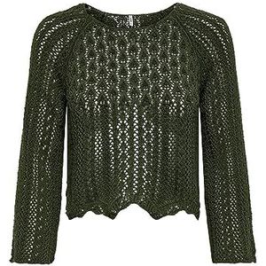 ONLY Onlnola Life Pullover 3/4 Knt Noos Sweater voor dames, Bruin