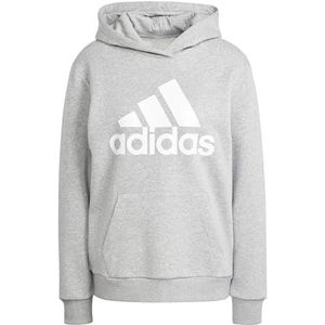 adidas Essentials Logo Boyfriend fleece hoodie dames