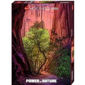 Puzzel Singing Canyon (1000 stukjes) - Power of Nature