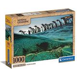 Clementoni - 39730 - National Geographic puzzel - Gentoo Penguins - 1000 stukjes - puzzel voor volwassenen, entertainment voor volwassenen - gemaakt in Italië