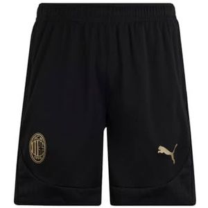 PUMA Trainingsbroek, trainingsshorts, seizoen 2024/25, DryCELL-technologie, klassieke pasvorm, uniseks