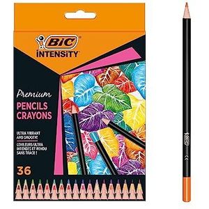 BIC Intensity Kleurpotloden, ideaal voor volwassenen, verschillende kleuren, kartonnen etui met 36 potloden