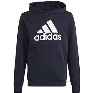 Adidas Big Logo Essentials Cotton Hoodie Sweatshirt Unisex Junior